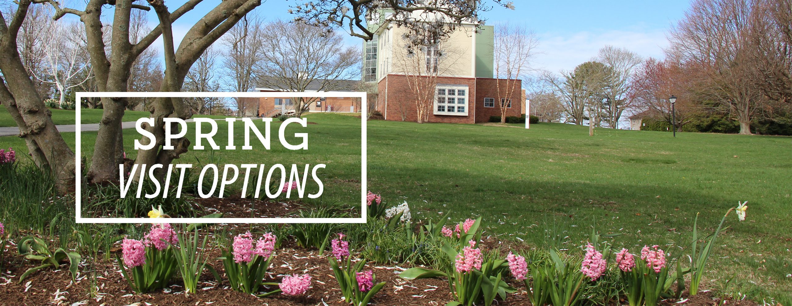 SpringVisitSlide , Mitchell College