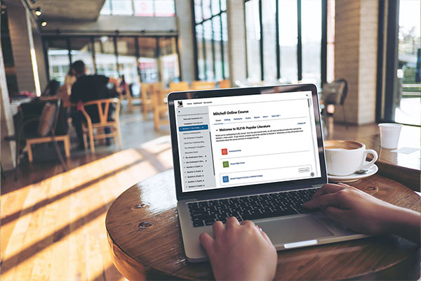 october late start fall term, Mitchell College