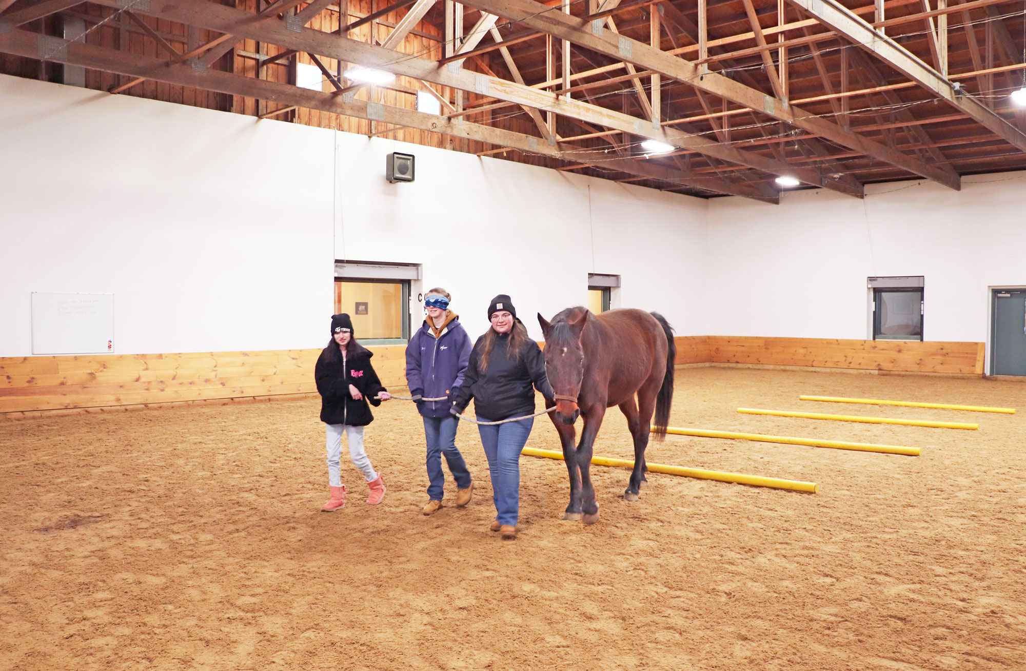 High Hopes Equine-Assisted Wellness Course