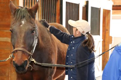 Resized_High_Hopes_3.2 (22) equine-assisted wellness course, Mitchell College