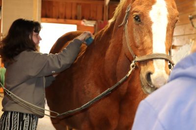 Resized_High_Hopes_3.2 (39) equine-assisted wellness course, Mitchell College
