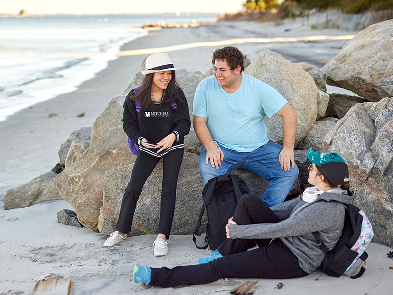 hampshire college, Mitchell College